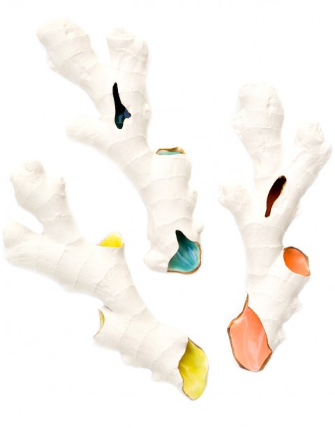 Ginger Root Sculpture from Lief Shop