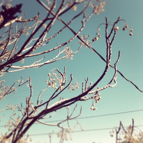 20130225-112859.jpg
