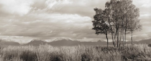 Milk And Honey Landscapes: Raquel Edwards
