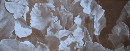 Inherent Abstractions of the Natural World: Haley Farthing