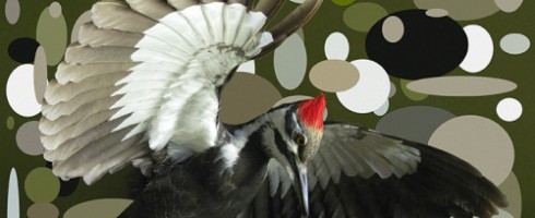 Of a Mod Nature: Mary Chomenko Hinckley