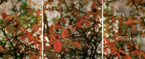 Abstractions of Atmosphere: Susan Goldsmith