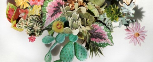 Renewings: Anne Ten Donkelaar