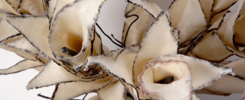 Natural Replications: Brenda Mallory