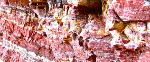 Friday Finds: Natural Abstractions