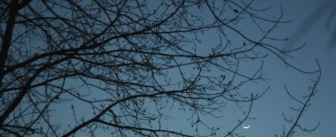 Art to Inspiration: Lani Trock