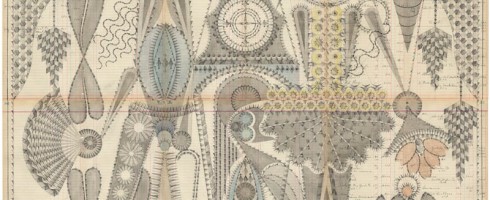 Psychedelic Precision: Louise Despont