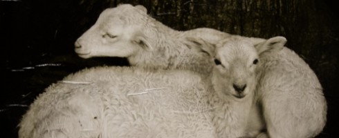 Silent Visages: Courtney J. Garrett