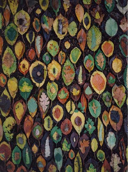 Environmental Ephemera: Tim Pugh