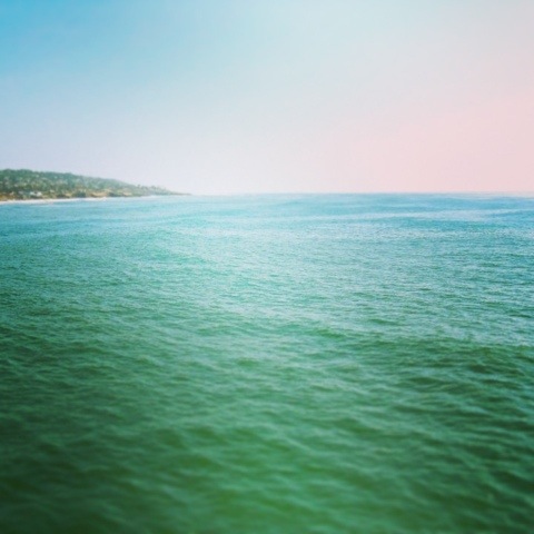 This Artsy Life: Weekend 12 [ Artsy & Mr. Forager Escape to the Sea ]