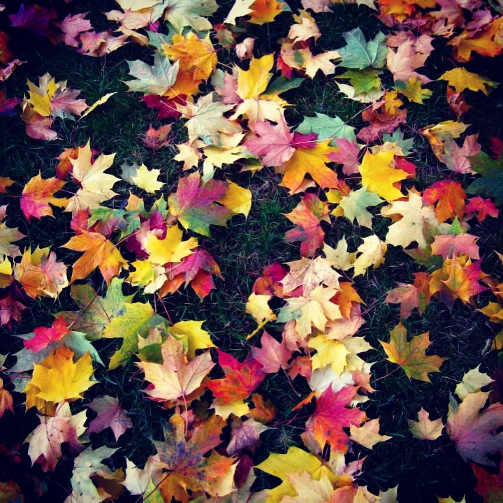 This Artsy Life: Weekend 44 [Falling Back, Looking Ahead]