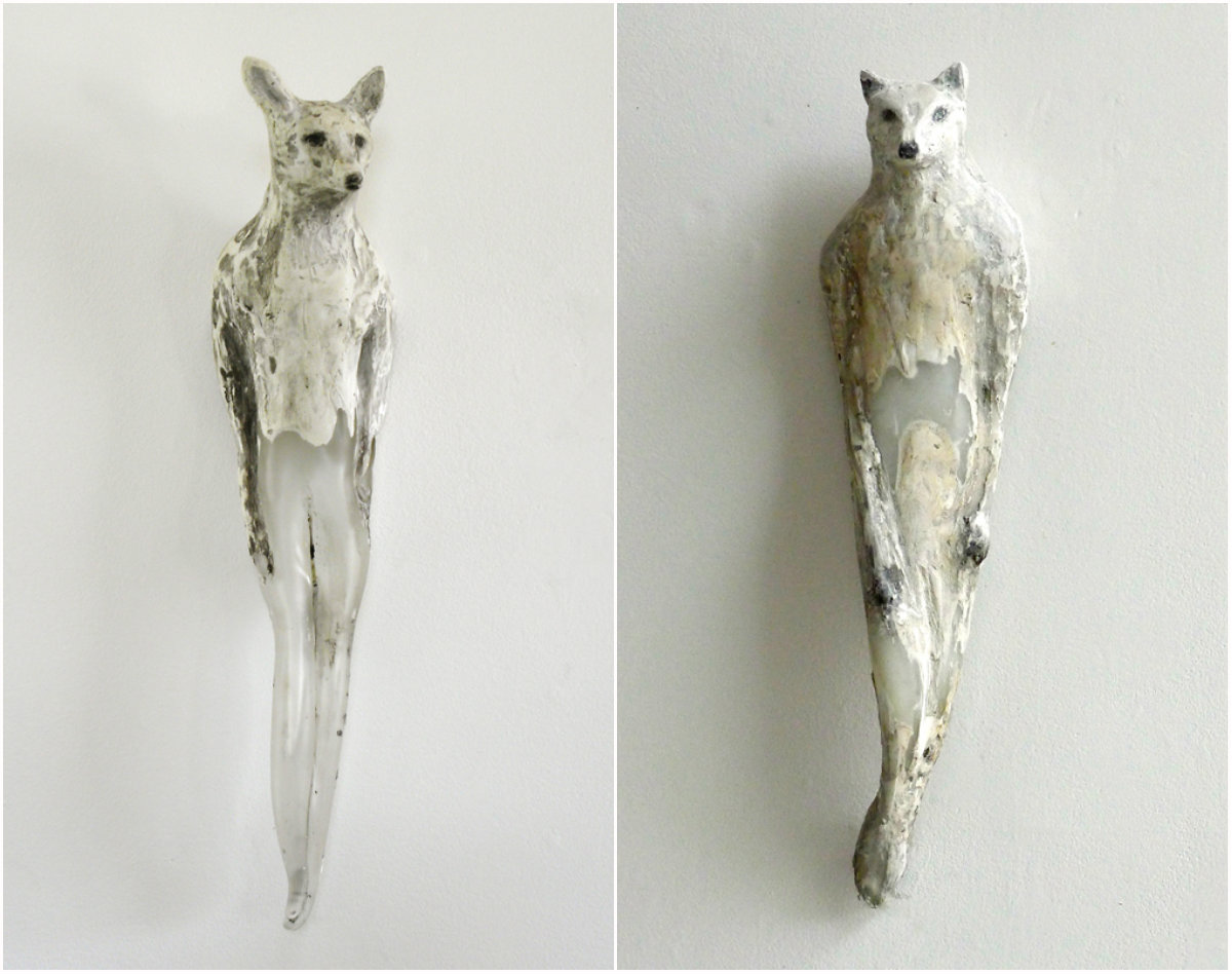 Wild Beauty: Jane Rosen