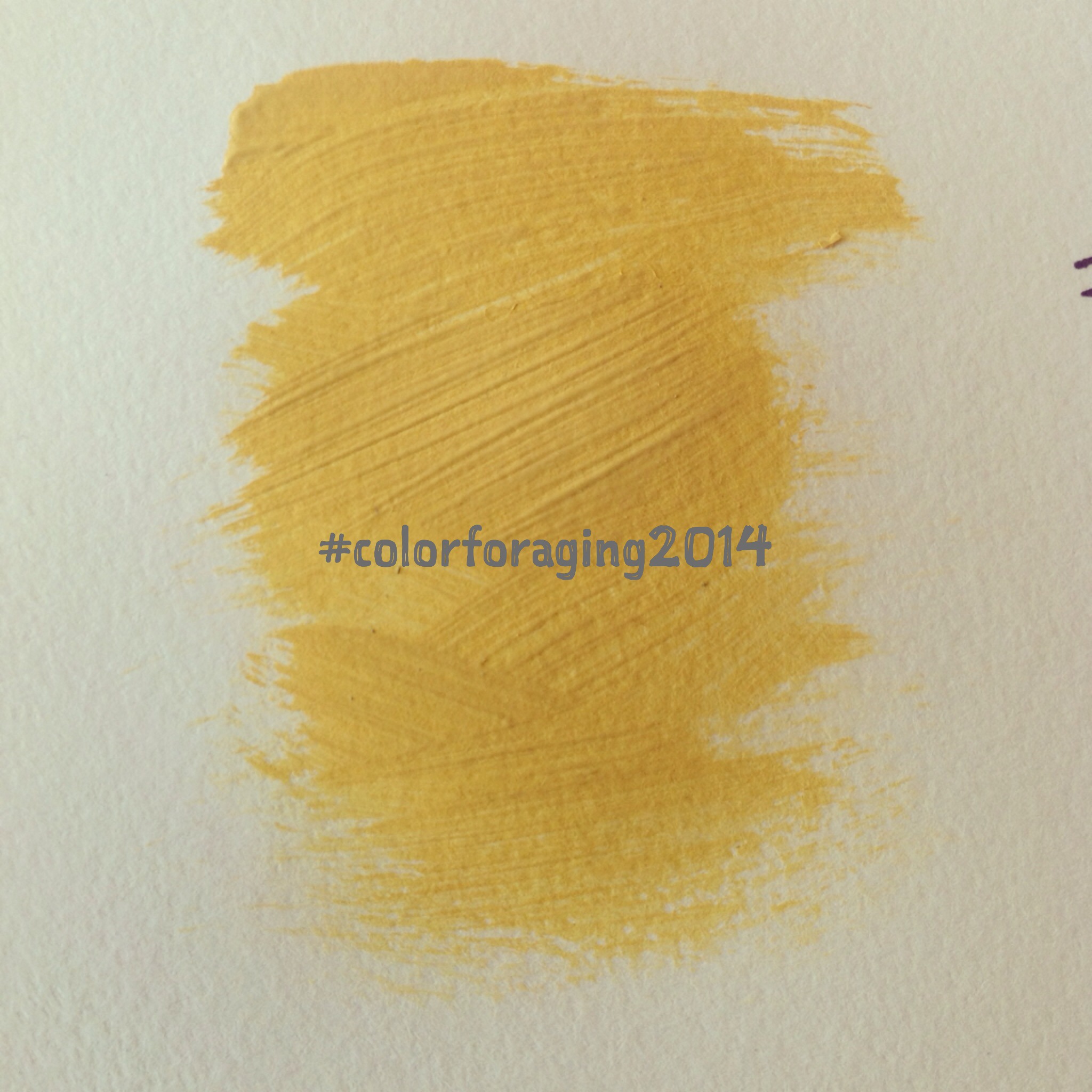 Finding My Own Artsy: #colorforaging2014!!