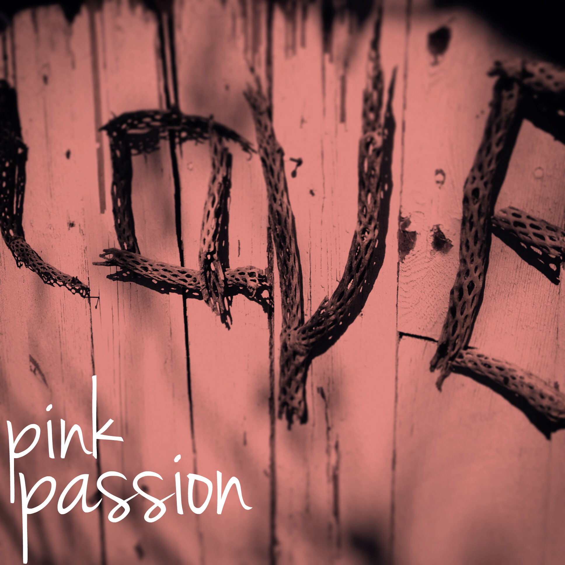 Color Harvest: Pink Passion
