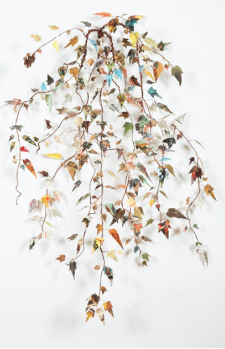 Of Branches and Beings: Lisa Kokin