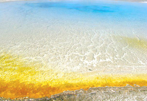 The Artsy Nature: Yellowstone & Amy Donaldson