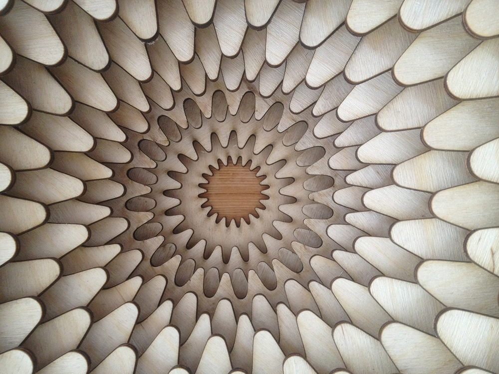 Shapes Surrounding. Joshua Abarbanel